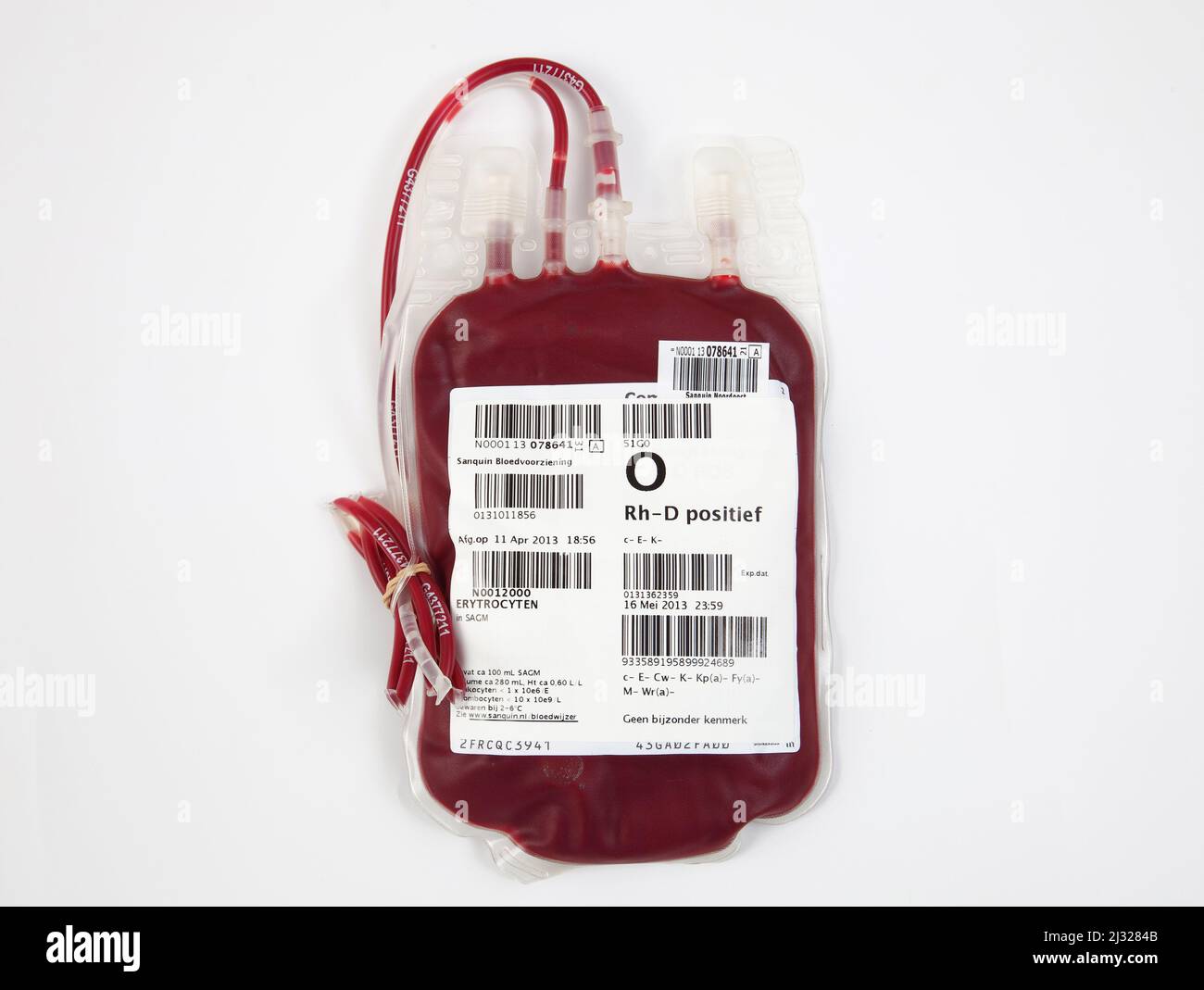 sangue-sacca.jpg